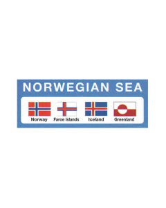 Gjesteflagg Norskehavet 30x19 cm